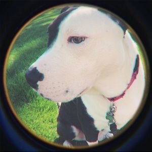 Meet your Posher, John